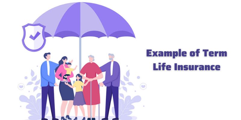 Example of Term Life Insurance
