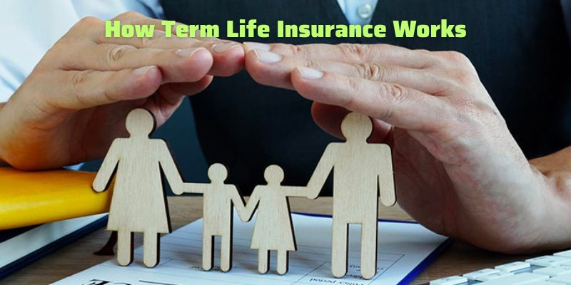 How Term Life Insurance Works