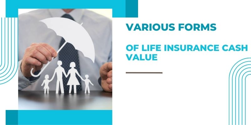Various Forms of Life Insurance Cash Value