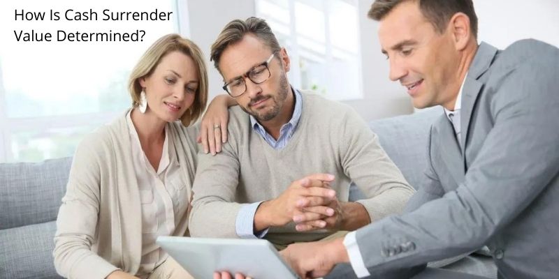 Life insurance surrender value: How Is Cash Surrender Value Determined?